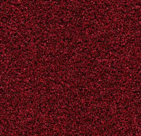 Coral Bright 2603 Vivid Earth - 200 cm breed