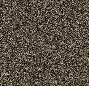 Coral Bright 2604 Virgin Sand - 200 cm breed
