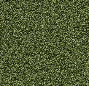 Coral Bright 2608 Fresh Grass 200 cm breed
