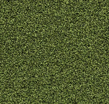Coral Bright 2608 Fresh Grass - 90 cm breed