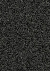 Coral Brush 5221 Hurricane Grey 155 cm breed