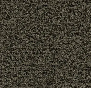 Coral Brush 5234 Fossil Grey 155 cm breed