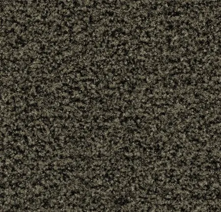 Coral Brush 5234 Fossil Grey 205 cm breed