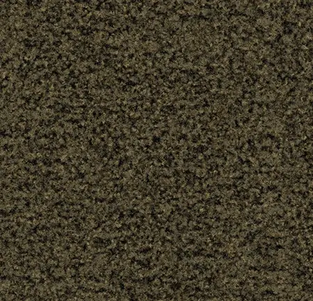 Coral Brush 5284 Olive Green 155 cm breed