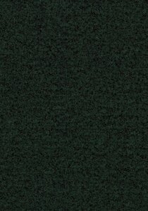 Coral Brush 5288 Racing Green 205 cm breed