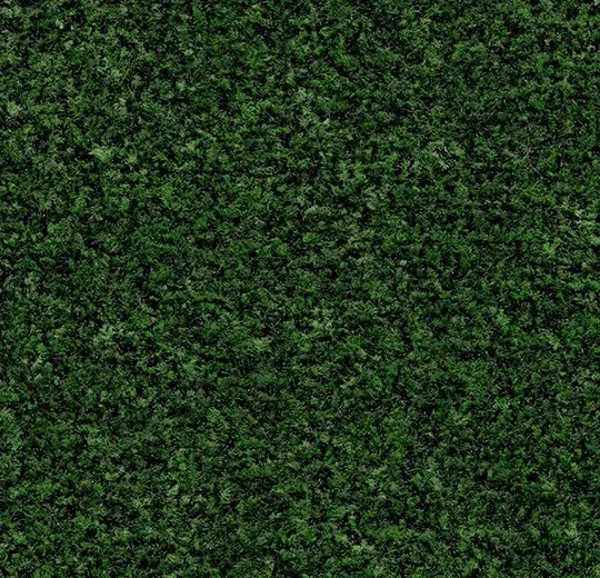 Coral Brush 5708 Advocado Green 105 cm breed