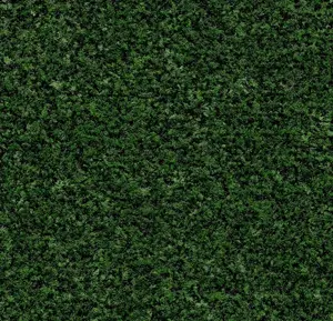 Coral Brush 5708 Advocado Green 105 cm breed