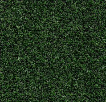 Coral Brush 5708 Advocado Green 155 cm breed