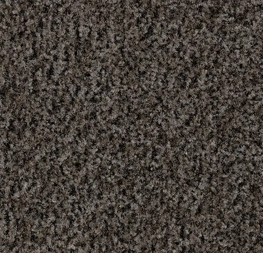 Coral Brush 5714 shark grey 155 cm breed