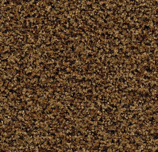 Coral Brush 5716 masala brown 205 cm breed
