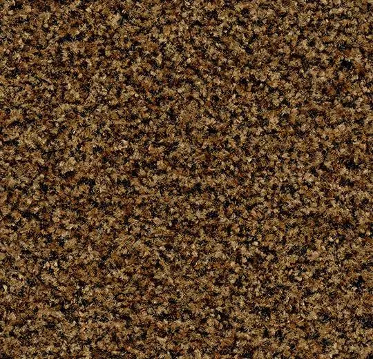 Coral Brush 5716 masala brown 55 x 90 cm