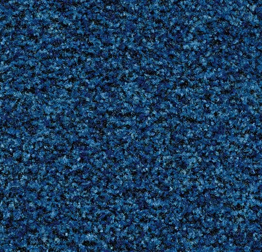 Coral Brush 5722 Cornflower Blue 105 cm breed