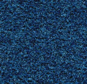 Coral Brush 5722 Cornflower Blue 155 cm breed