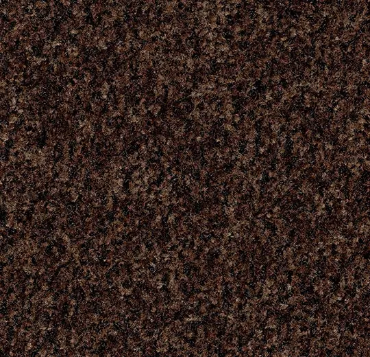 Coral Brush 5724 chocolate brown 155 cm breed
