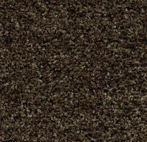 Coral Brush 5774 biscotti brown 155 cm breed