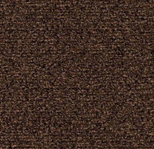 Coral Classic 4726 auburn 155 cm breed