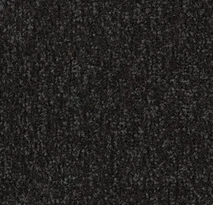 Coral Classic 4730 Raven Black 55 x 90 cm