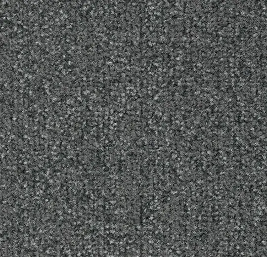 Coral Classic 4751 Silver Grey 155 cm breed