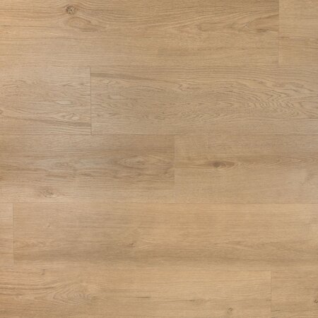 Douwes Dekker - Ambitieus - Riante plank gemberkoek 04867 (Klik PVC) - afbeelding 1