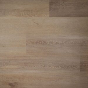 Douwes Dekker - Ambitieus - Riante plank honing 04743 (Plak PVC) - afbeelding 1
