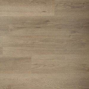 Douwes Dekker - Ambitieus - Riante plank spekkoek 04729 (Plak PVC) - afbeelding 1
