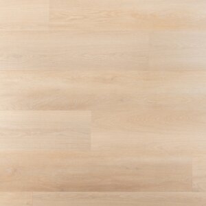 Douwes Dekker - Ambitieus - Riante plank tarte tatin 10506 (Plak PVC) - afbeelding 1