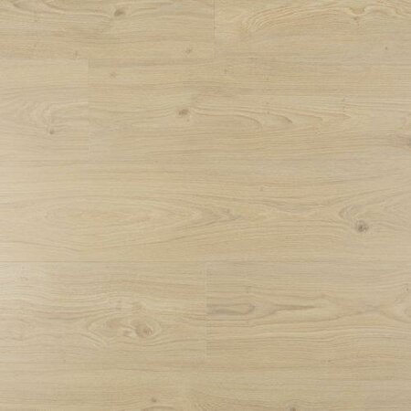 Douwes Dekker - Ambitieus - Riante plank tiramisu 07802 (Plak PVC) - afbeelding 1