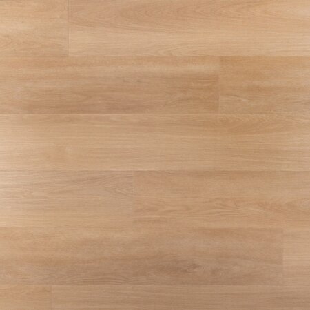 Douwes Dekker - Ambitieus - Riante plank tompouce 10504 (Plak PVC) - afbeelding 1