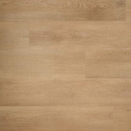 Douwes Dekker - Ambitieus - Riante plank zoethout 04852 (Klik PVC) - afbeelding 1