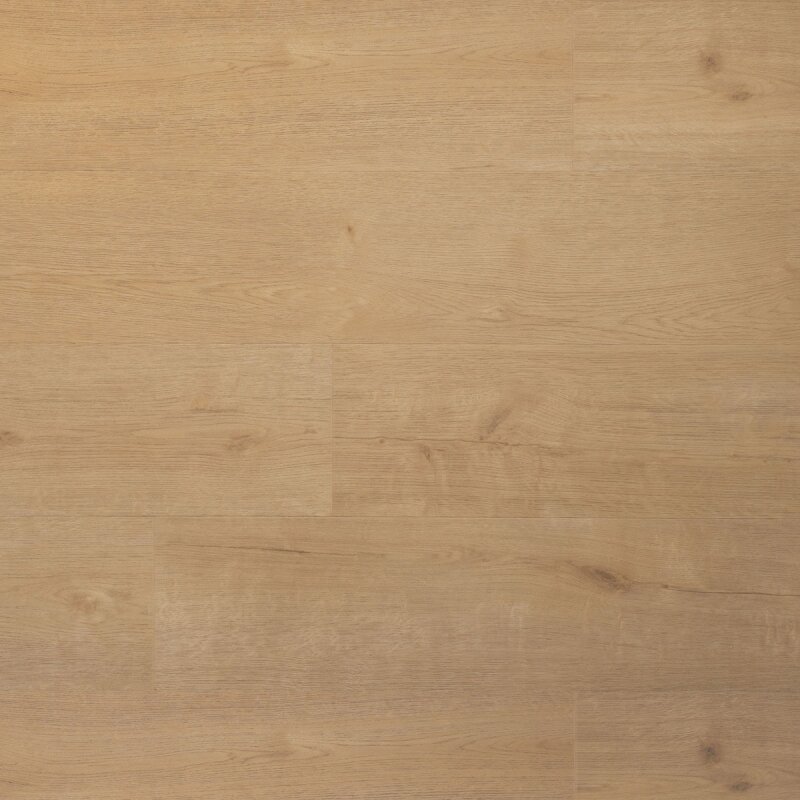 Douwes Dekker - Praktisch - Plank biscuit 04739 (Plak PVC)