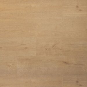 Douwes Dekker - Praktisch - SPC Plank biscuit 04879 (Klik PVC) - afbeelding 1