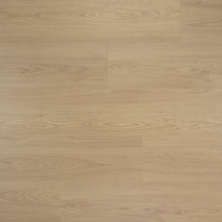 Douwes Dekker - Puur - Extra lange plank Truffel 4MV 03488 (Laminaat) - afbeelding 1