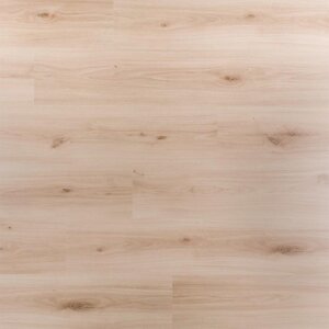 Douwes Dekker - Spontaan - Plank Cajun 03452 (Laminaat)