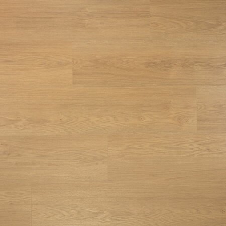 Douwes Dekker - Sympathiek - Brede plank Kaviaar 4MV 03481 (Laminaat) - afbeelding 1