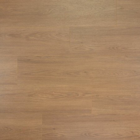 Douwes Dekker - Sympathiek - Brede plank Olijf 4MV 03482 (Laminaat) - afbeelding 1