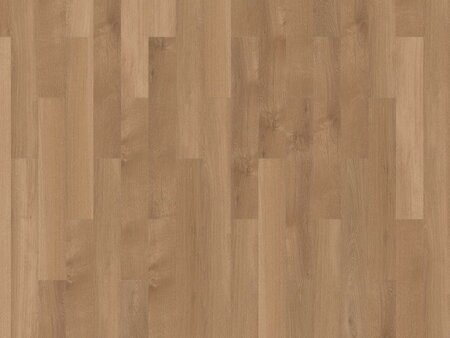 mFLOR - Broad Leaf - Pure Sycamore 41822 (Plak PVC) - afbeelding 1