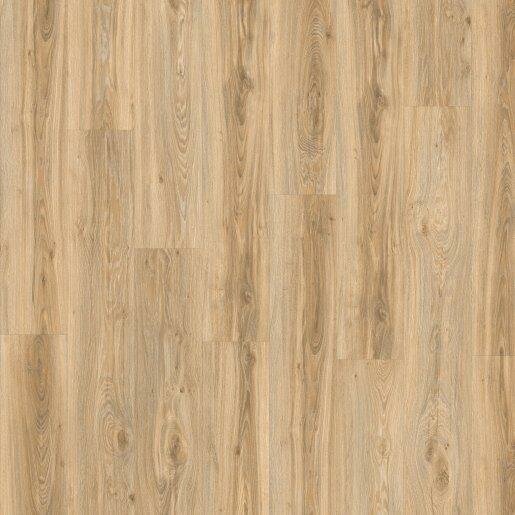 Moduleo Roots 55 - Blackjack Oak 22220 (Plak PVC)