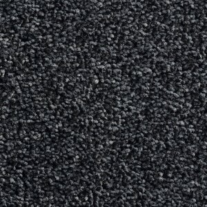 OTIUM Entreemat Black Line Raven 130 cm breed (inclusief Rubber rand	2 zijden - 5 cm) - afbeelding 1