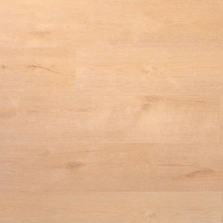 Douwes Dekker - Praktisch - Plank sprits 04738 (Plak PVC) - afbeelding 1