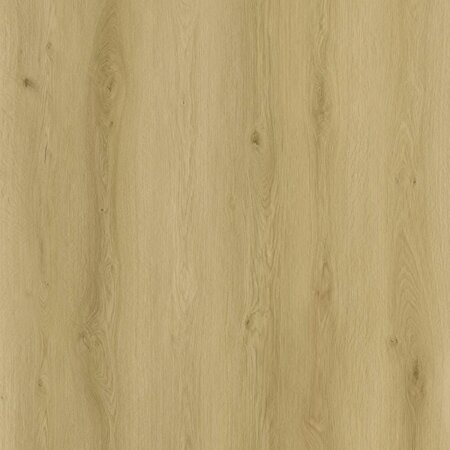 Sense - SPC EXL530 Serie EXLargo (Klik PVC)