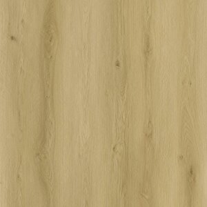 Sense - SPC EXL530 Serie EXLargo (Klik PVC)